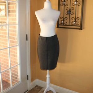 Ann Taylor Pencil Skirt